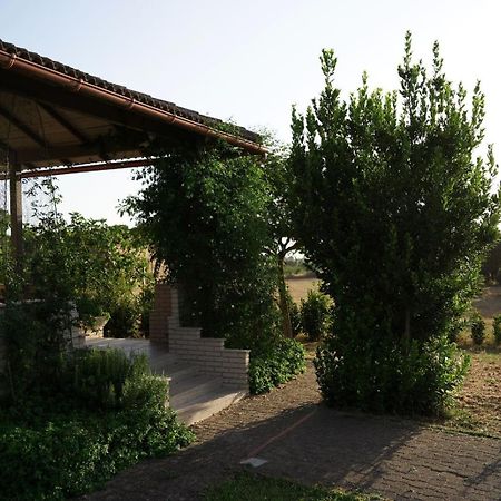Accogliente Villa Con Piscina Caltagirone Exterior foto