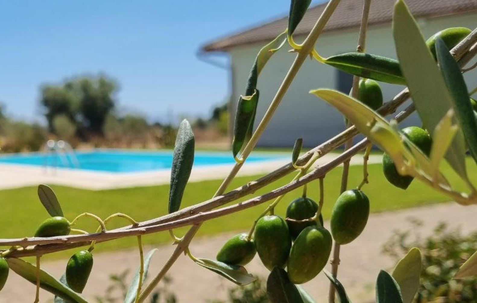 Accogliente Villa Con Piscina Caltagirone Exterior foto