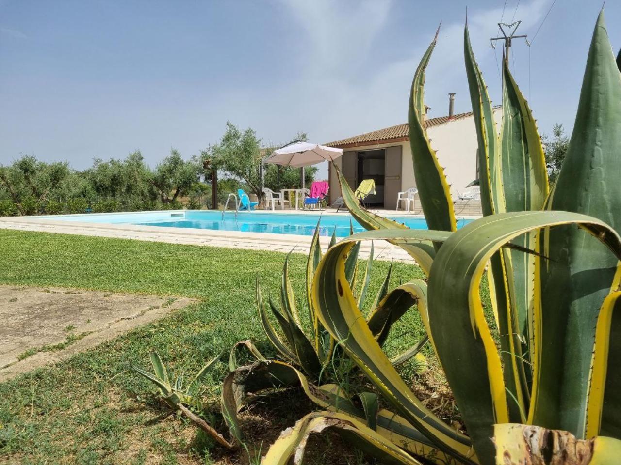 Accogliente Villa Con Piscina Caltagirone Exterior foto